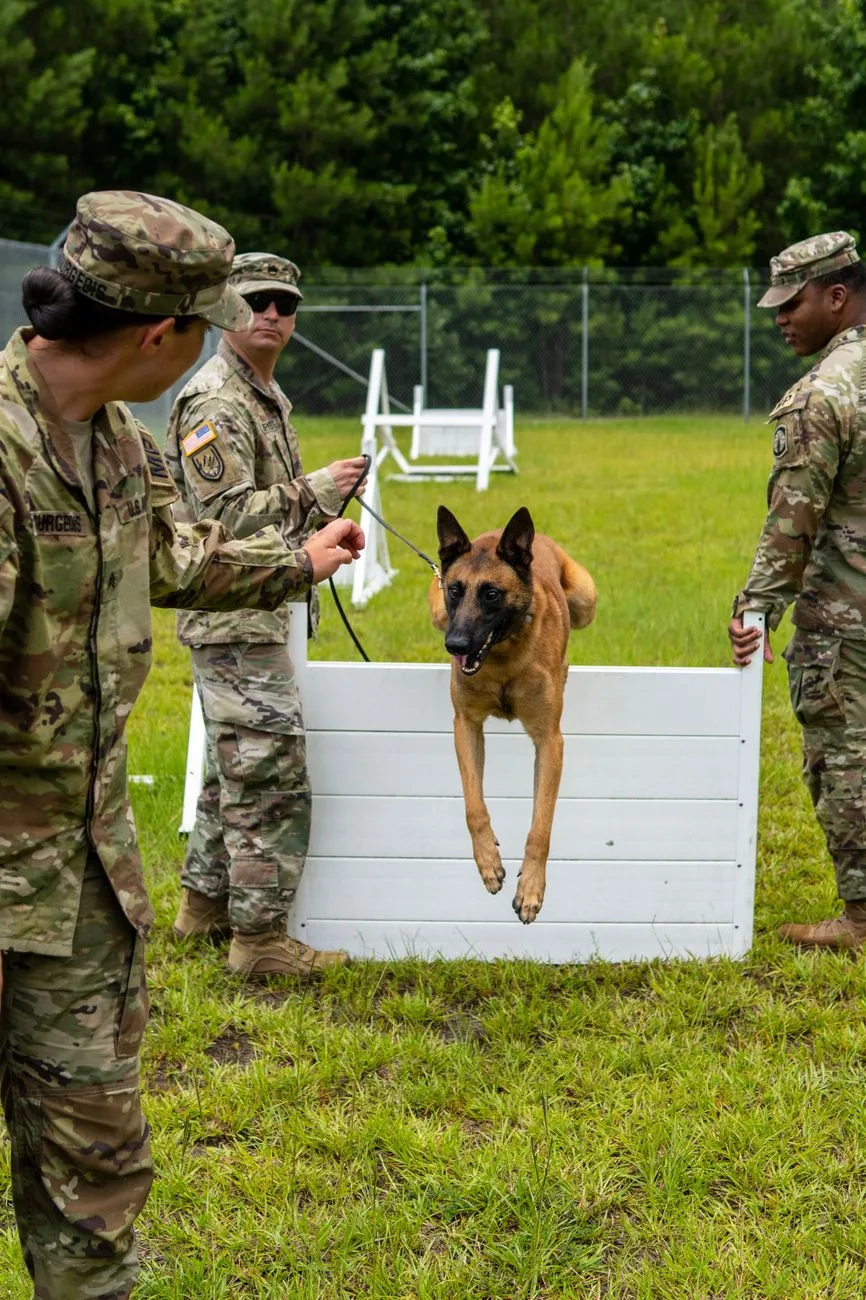 Warhound Plans Genetically Engineered War Dogs