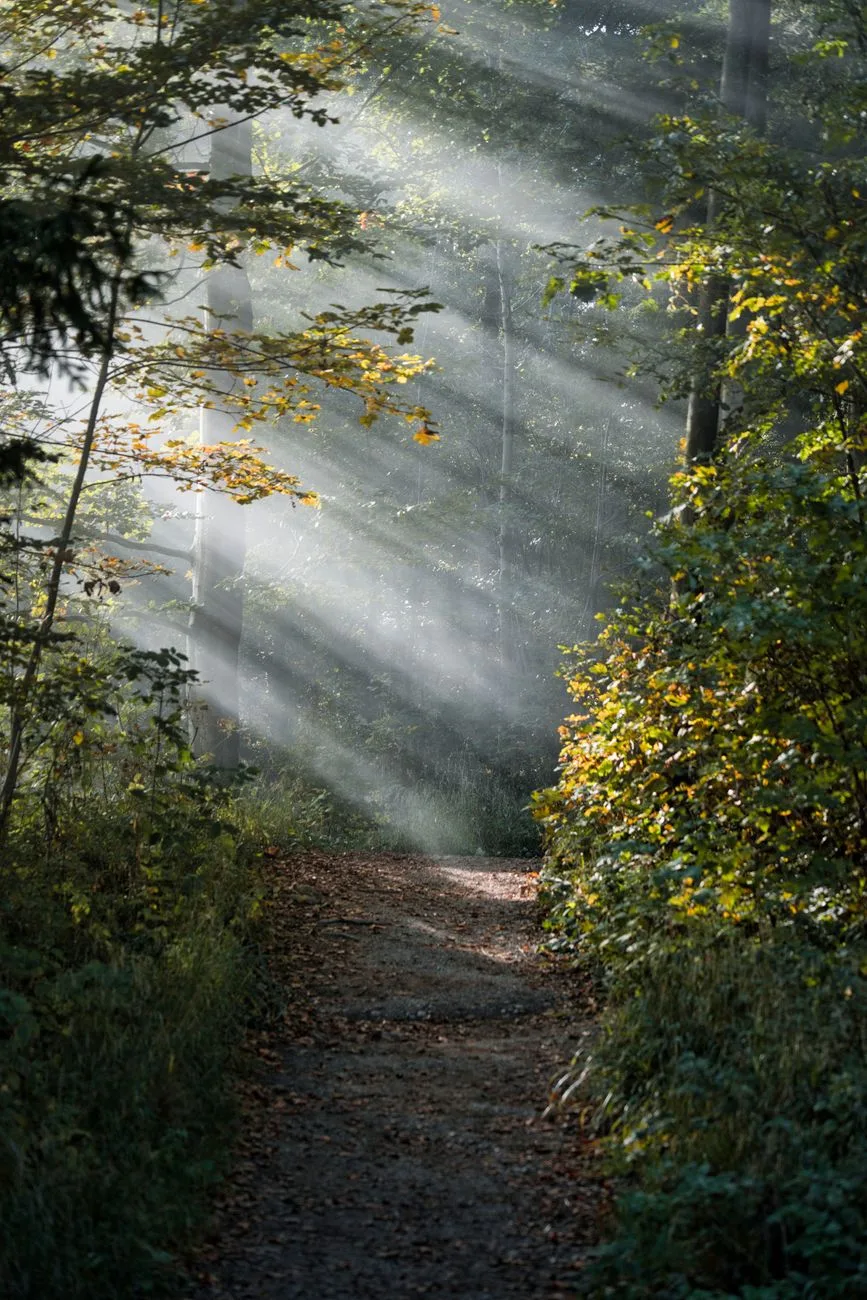 “I will lead the blind by ways they have not known, along unfamiliar paths I will guide them; I will turn the darkness into light before them and make the rough places smooth. These are the things I w