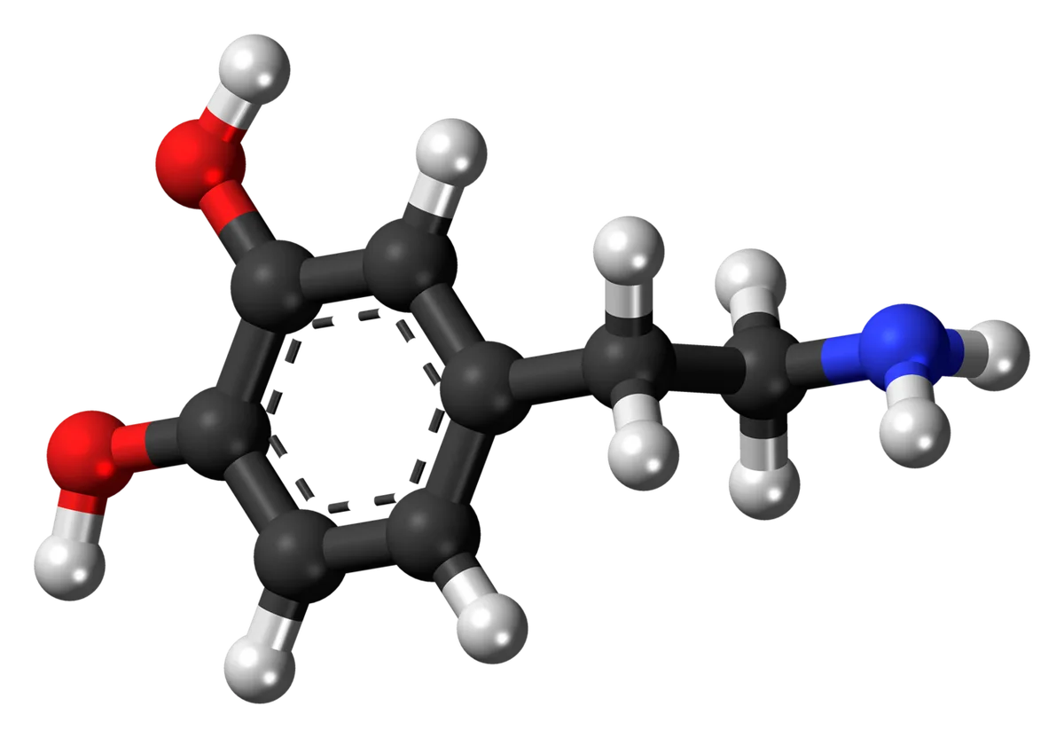 Book says constant dopamine hits tilt brain toward lasting pain