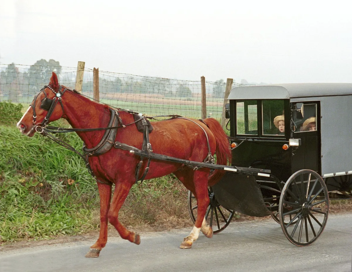 Two Killed, Eight Injured in Amish Buggy Crash