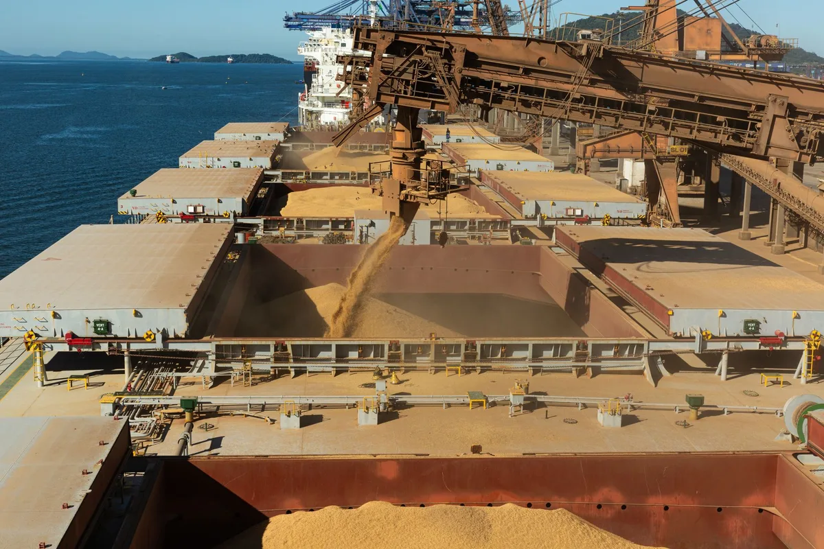 EU Rules May Redirect Brazil Soymeal Trade