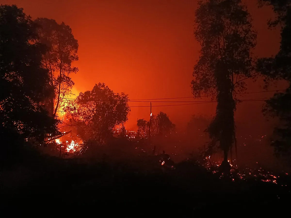 As forest fires rage, hundreds of Indonesian students protest government response