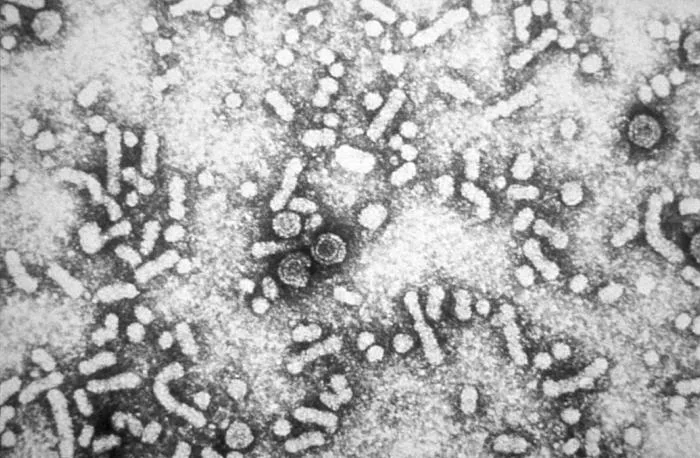 FDA Approves Hibsago After 19% Functional-Cure Trial