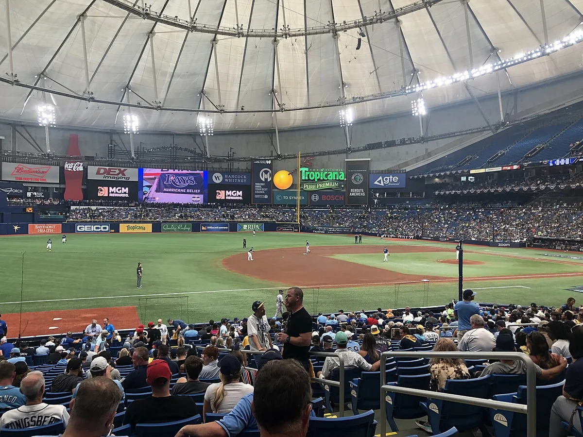 Rays Fans Celebrate ALCS Game 5 Win