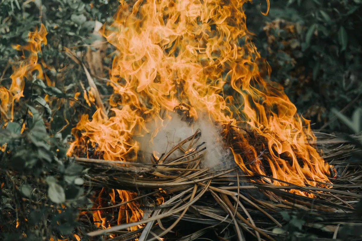 120-Acre Wildfire Prompts Evacuations Near Magnolia