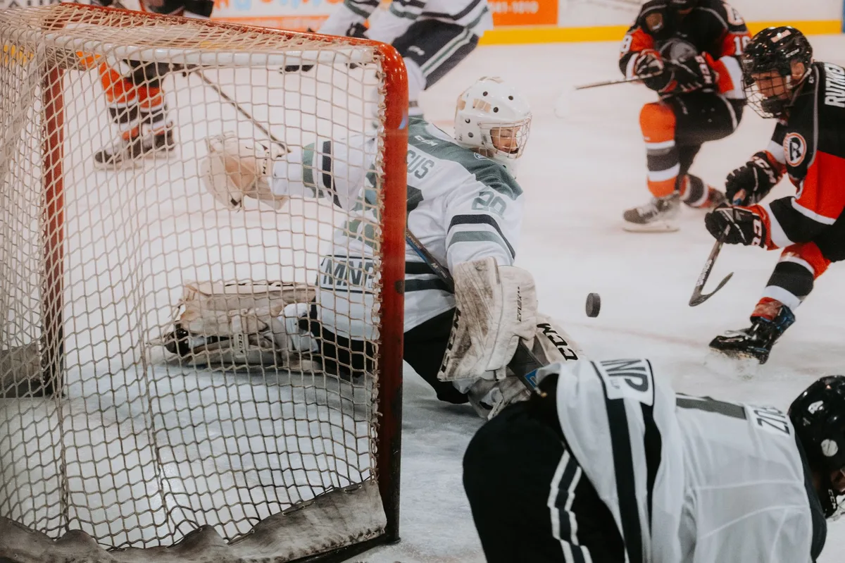 Ellis' 23-save shutout leads Sabres past Sharks