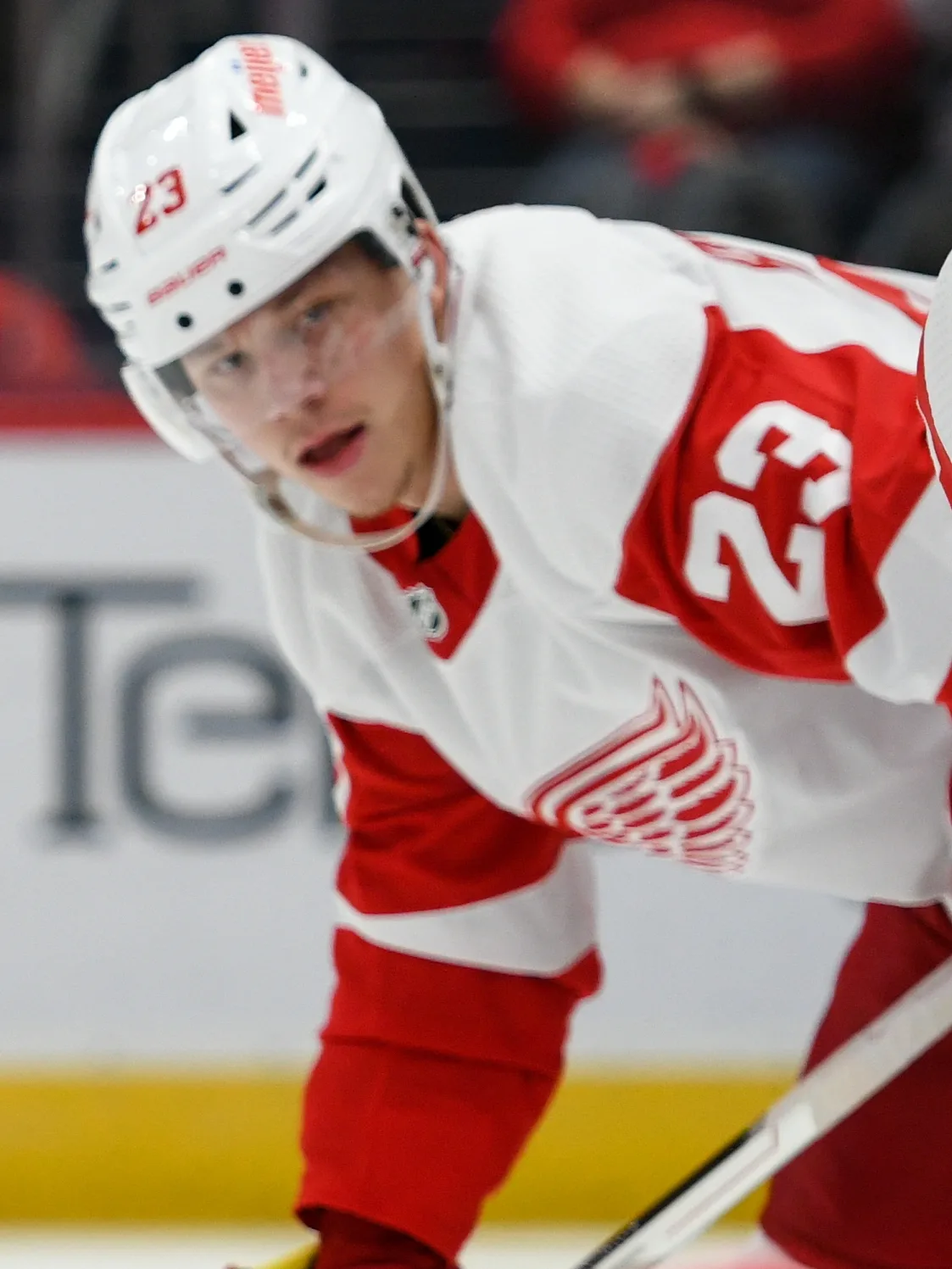 Raymond lifts Red Wings past Oilers 4-3