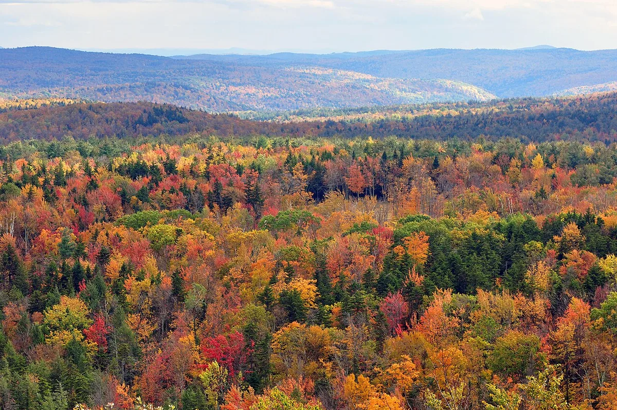 Interactive Maps Help Time 2026 U.S. Foliage Trips