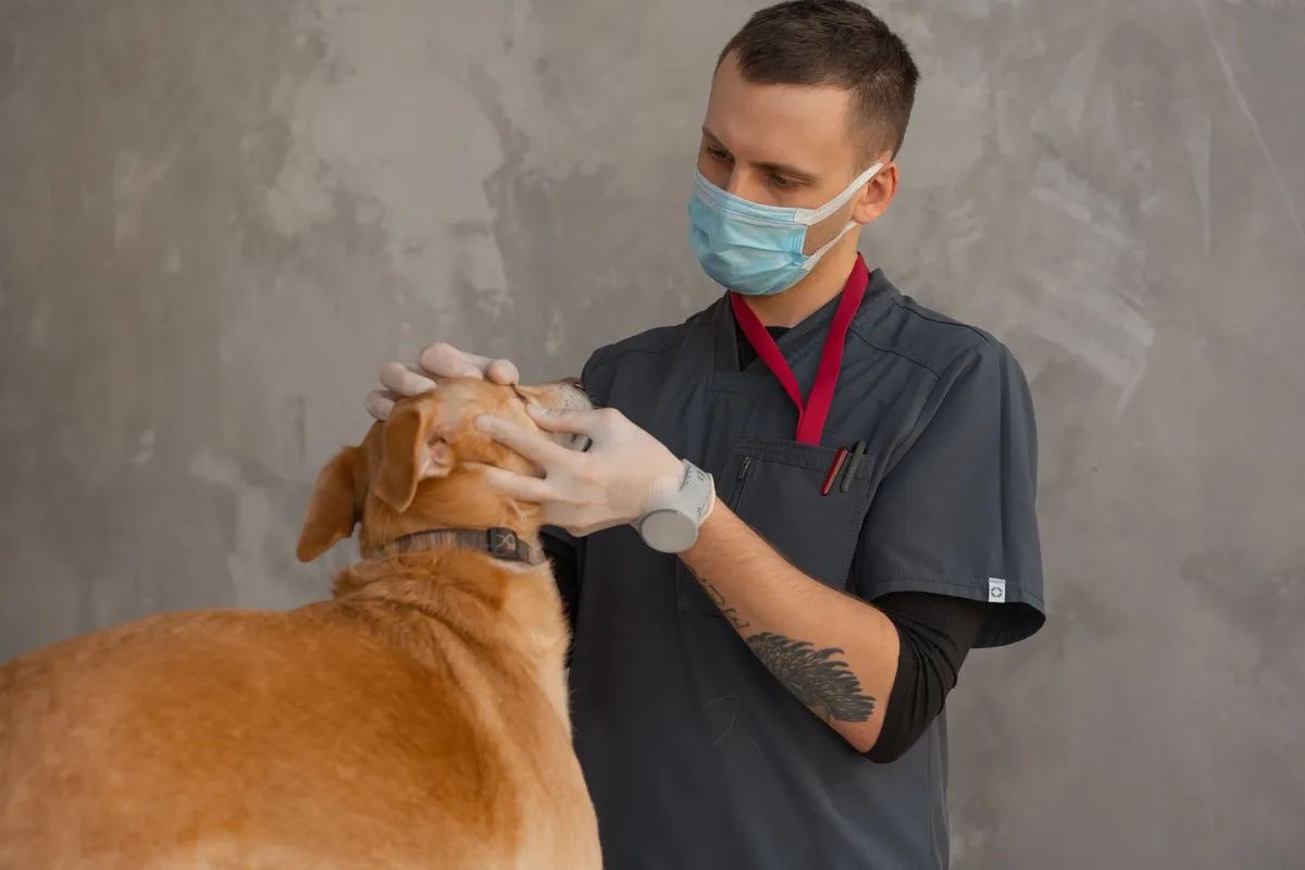 Animal Clinics Expand Access Across Communities