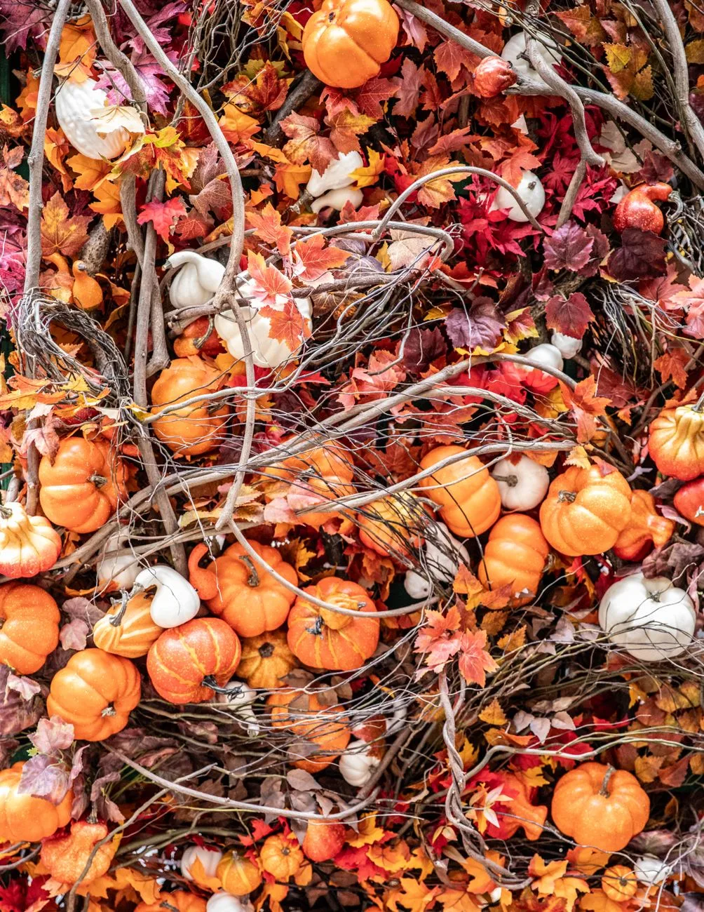 Fall Festivals Draw Thousands Across Regions