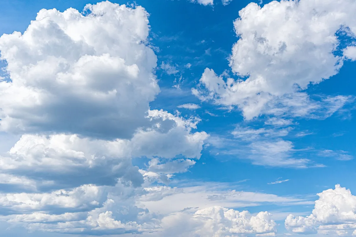 Deer Park, Texas, United States Hourly Forecast | MSN Weather