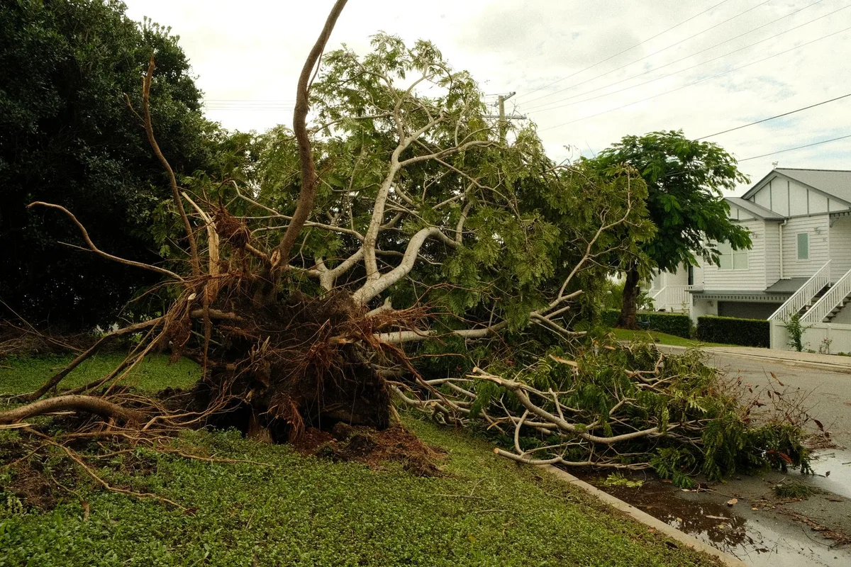 Tempe rebuilds one year after historic microburst