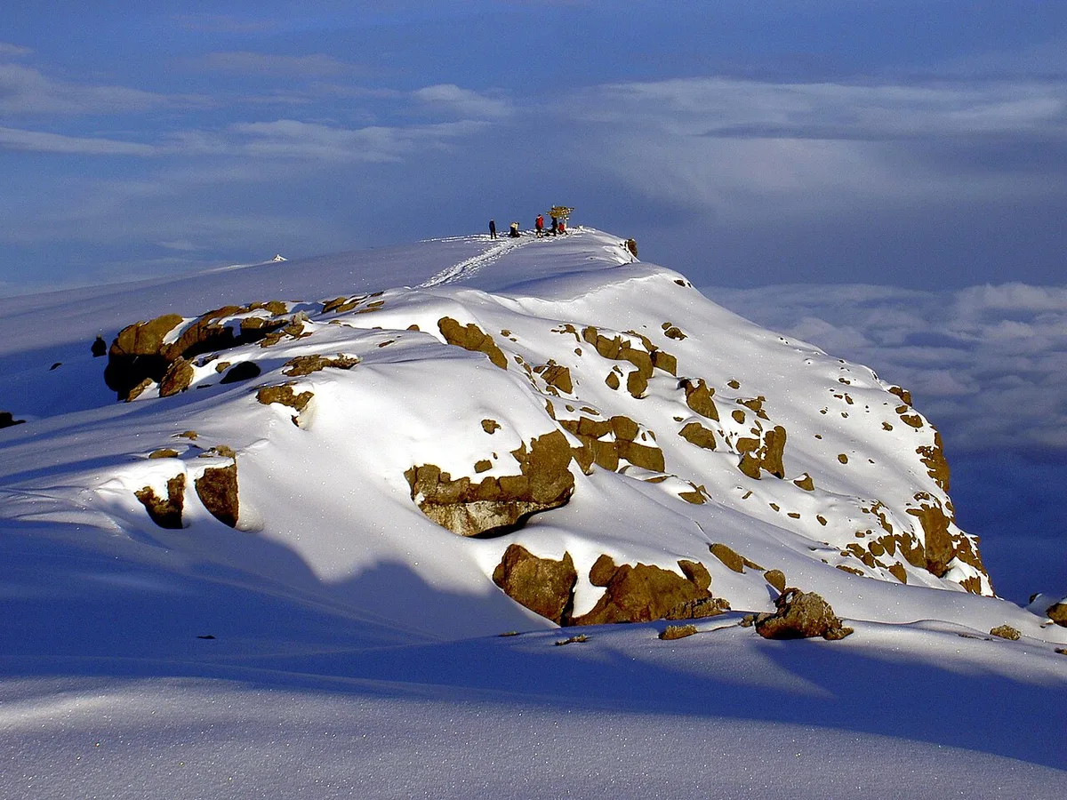 31 Rowcroft Supporters Reach Kilimanjaro Summit, Raise £113,000
