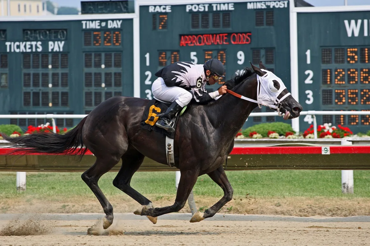 Champion Super Corredora Wins Zenyatta, Earns Breeders’ Cup Berth