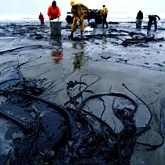 Oil Spill Closes UAE Beaches Across Three Emirates