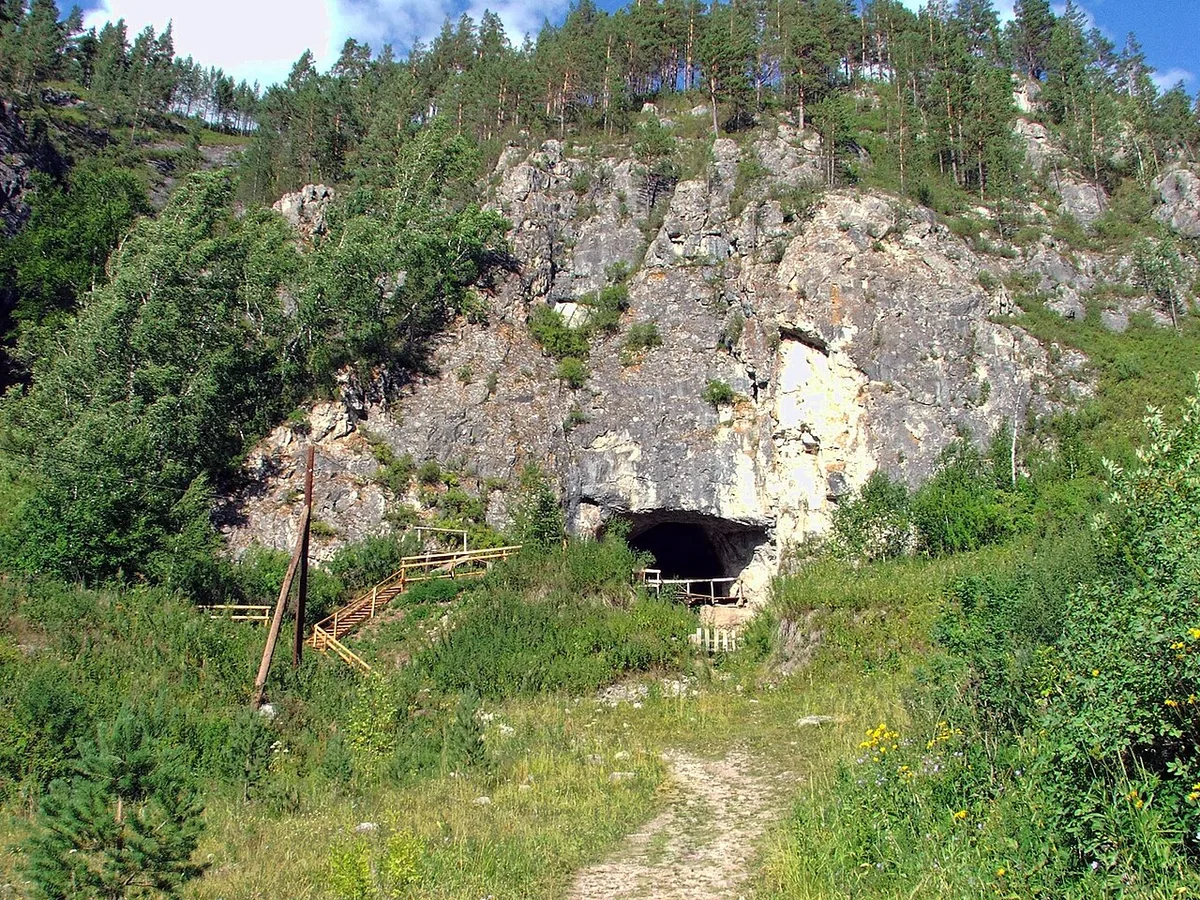 DNA Reveals Unknown Ice Age Yak Relative