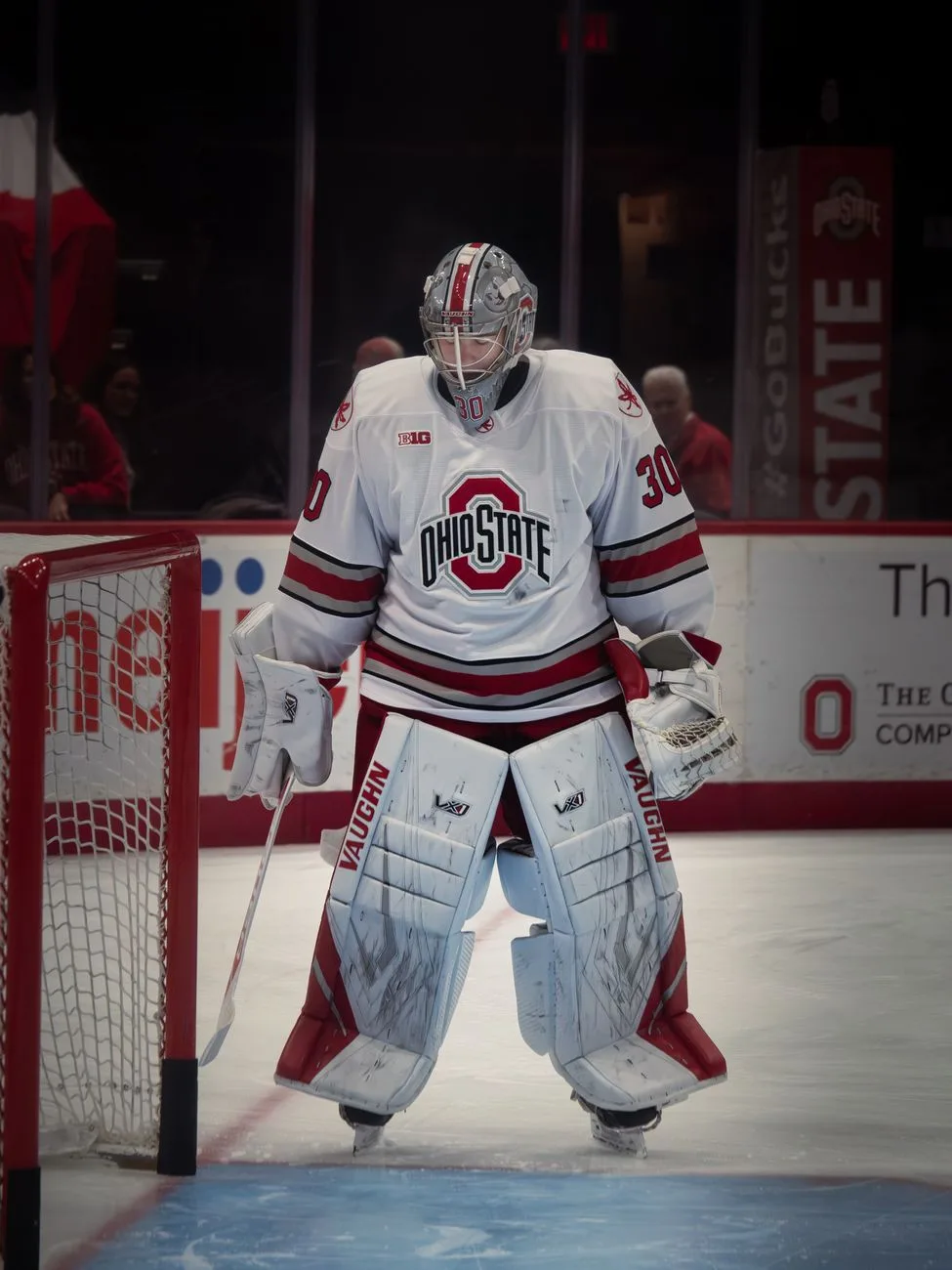 Michigan Nears Unanimous No. 1 in Hockey