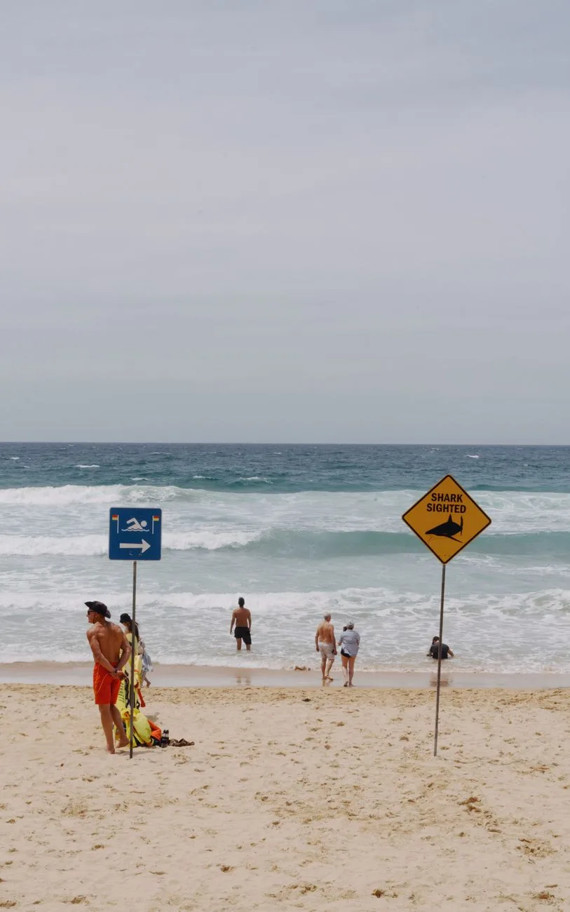 Shark Alerts Prompt Closures Across Two Countries