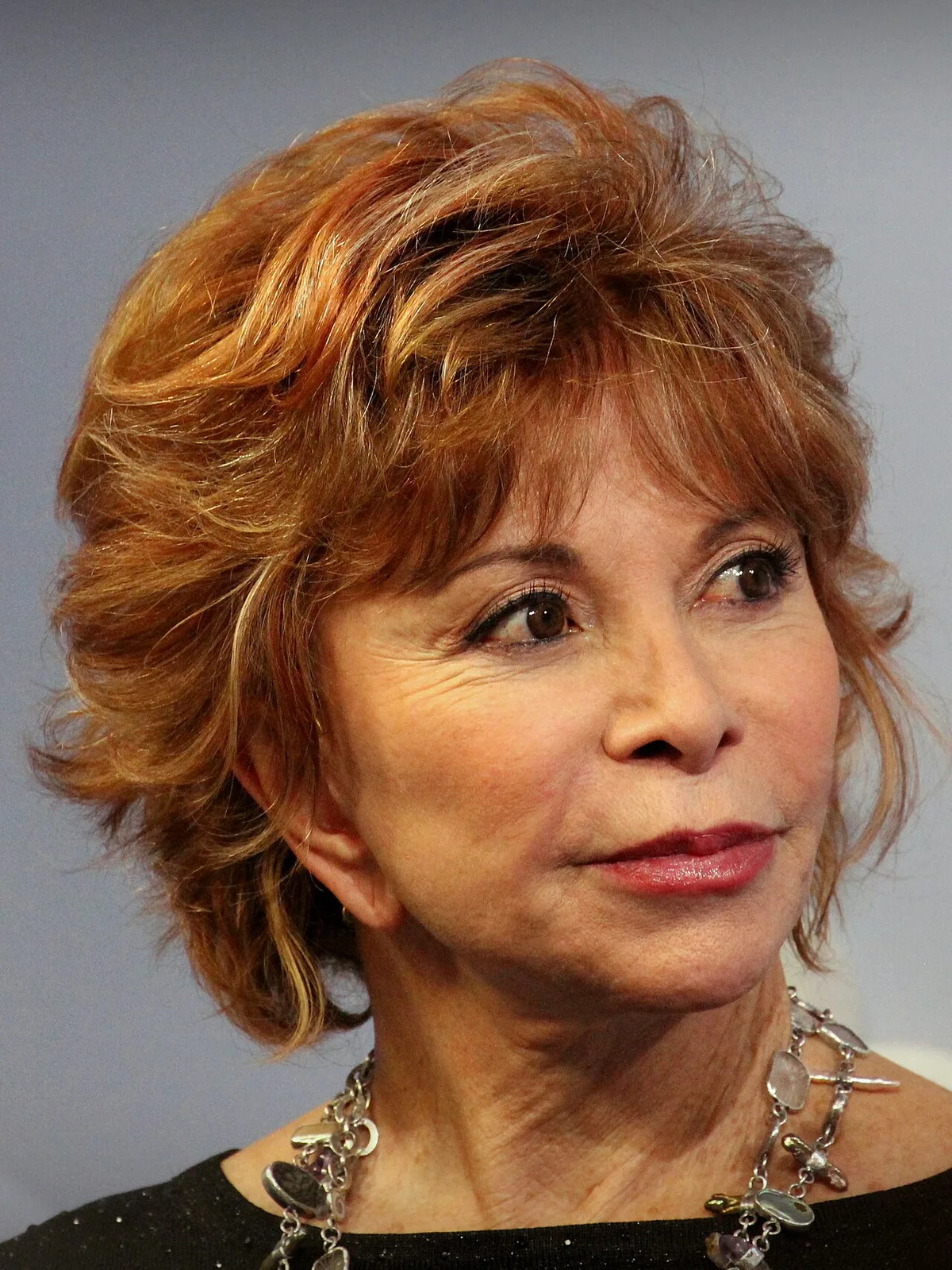 Isabel Allende Wins €1 Million Planeta Prize for Dictatorship Sequel