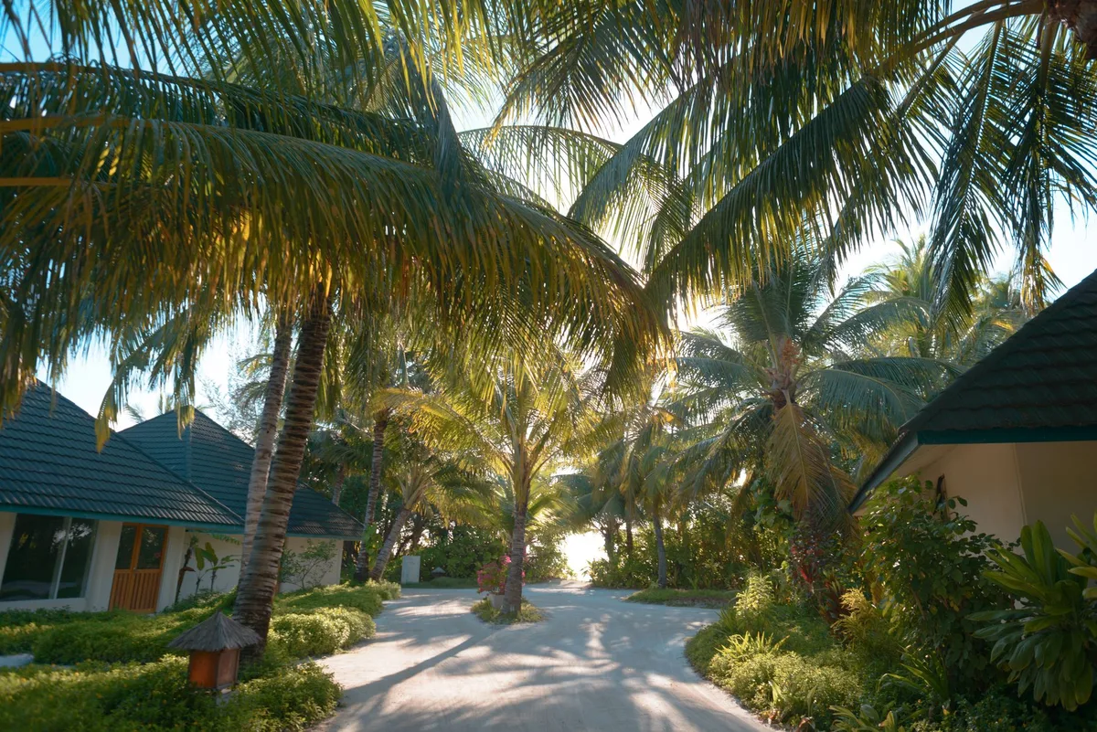 Escape to these island resorts to see what's new for the holidays