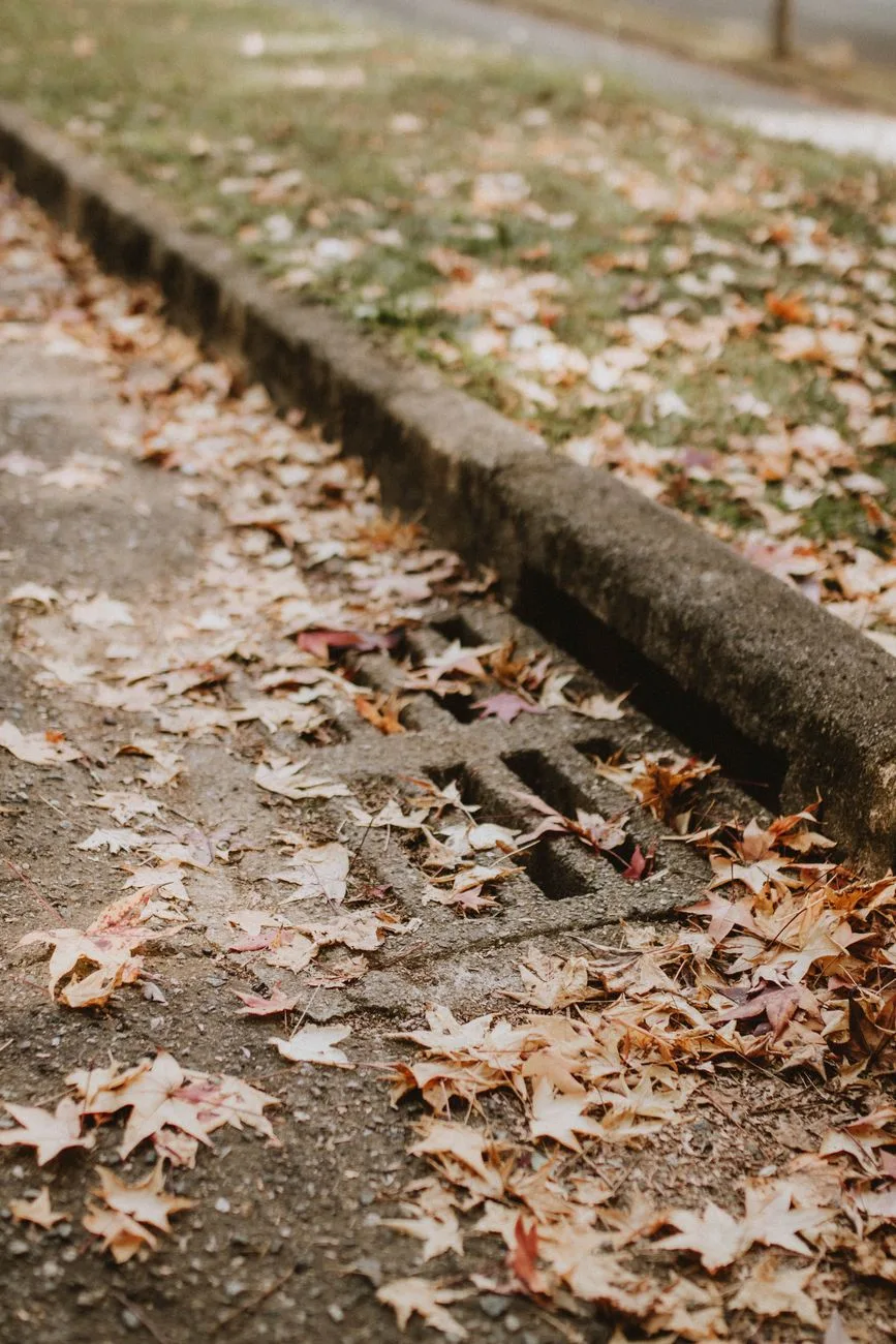 Cities urge residents to keep leaves from storm drains to curb flooding