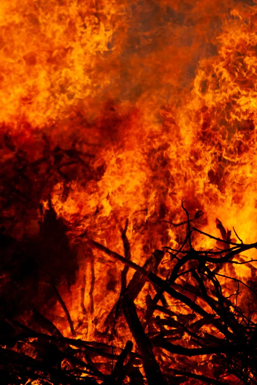 Threatened by Fire