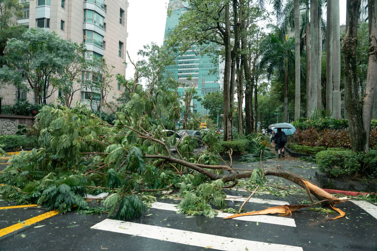 Typhoon Champi sweeps past Taiwan, leaving 1 dead, 500 injured