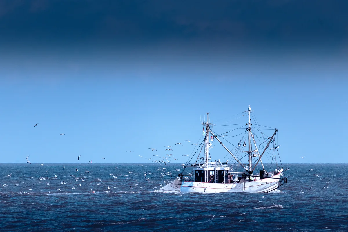 Man Found Dead Aboard Overdue Trawler Off Virginia