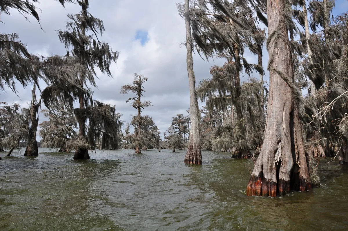 Stories Span Gulf South Culture, Food and Travel