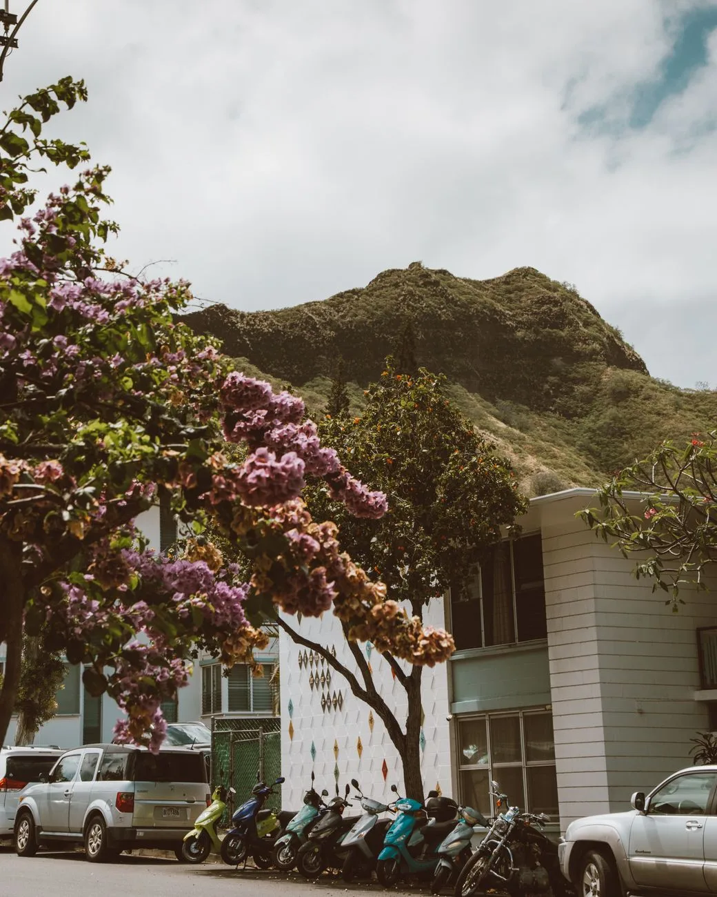 Five Oahu homes listed including multifamily and North Shore options