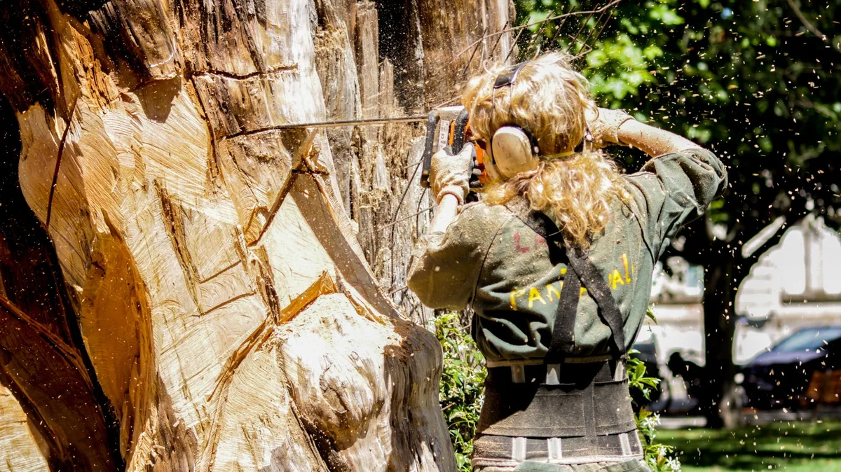 Tree-Care Firms Expand Coverage Across Five Regions