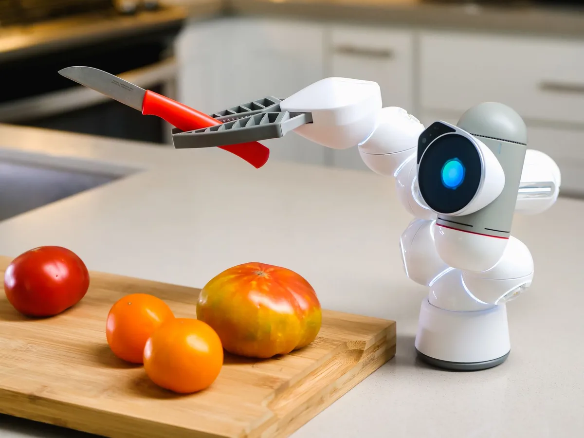 Humanoid robots priced at $55,000 tackle household chores in afternoon test