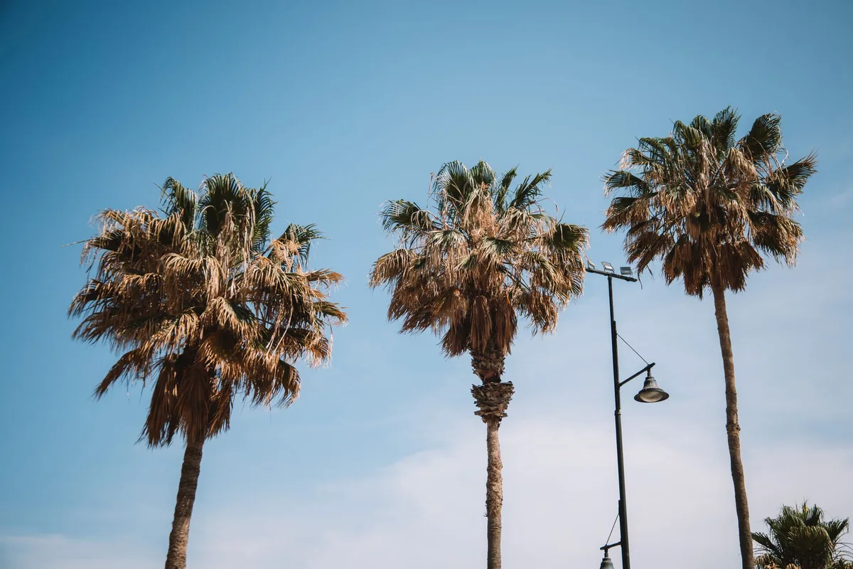 Warm, Dry Weather Expected Across Southern Cities