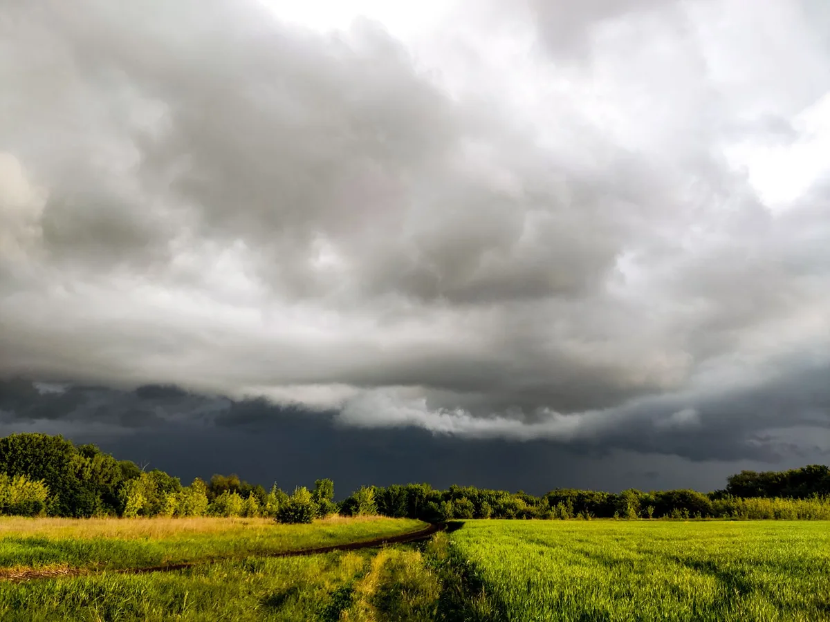 Rain and Storms Forecast in East Texas, Omaha