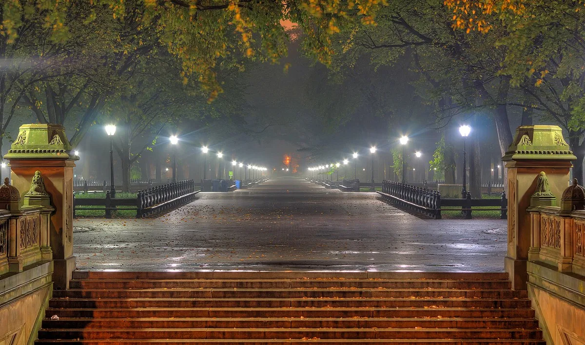 Outdoor Lighting Firm Reports Texas, Florida LED Surge