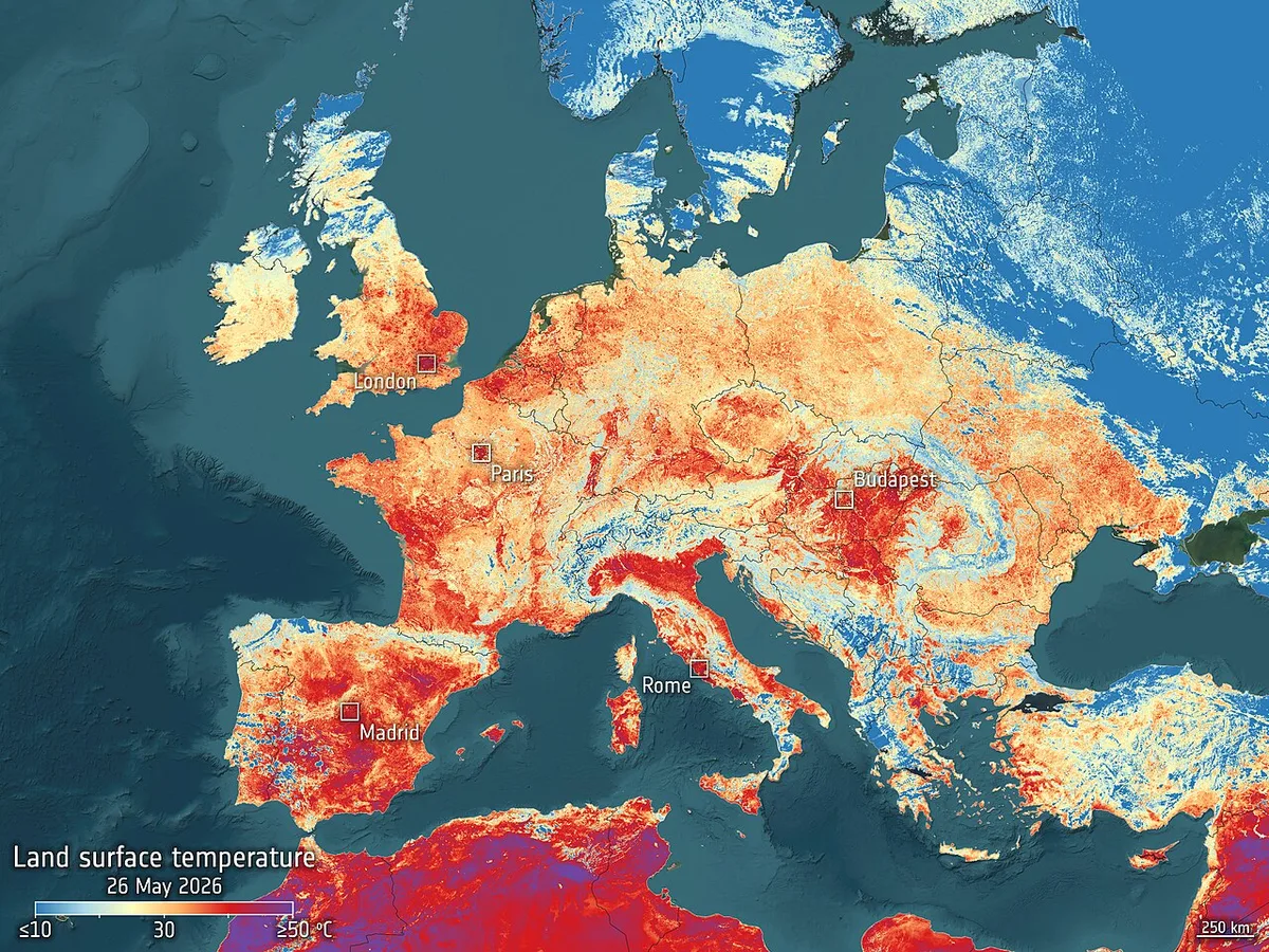 France records nearly 8,000 excess deaths amid repeated heatwaves