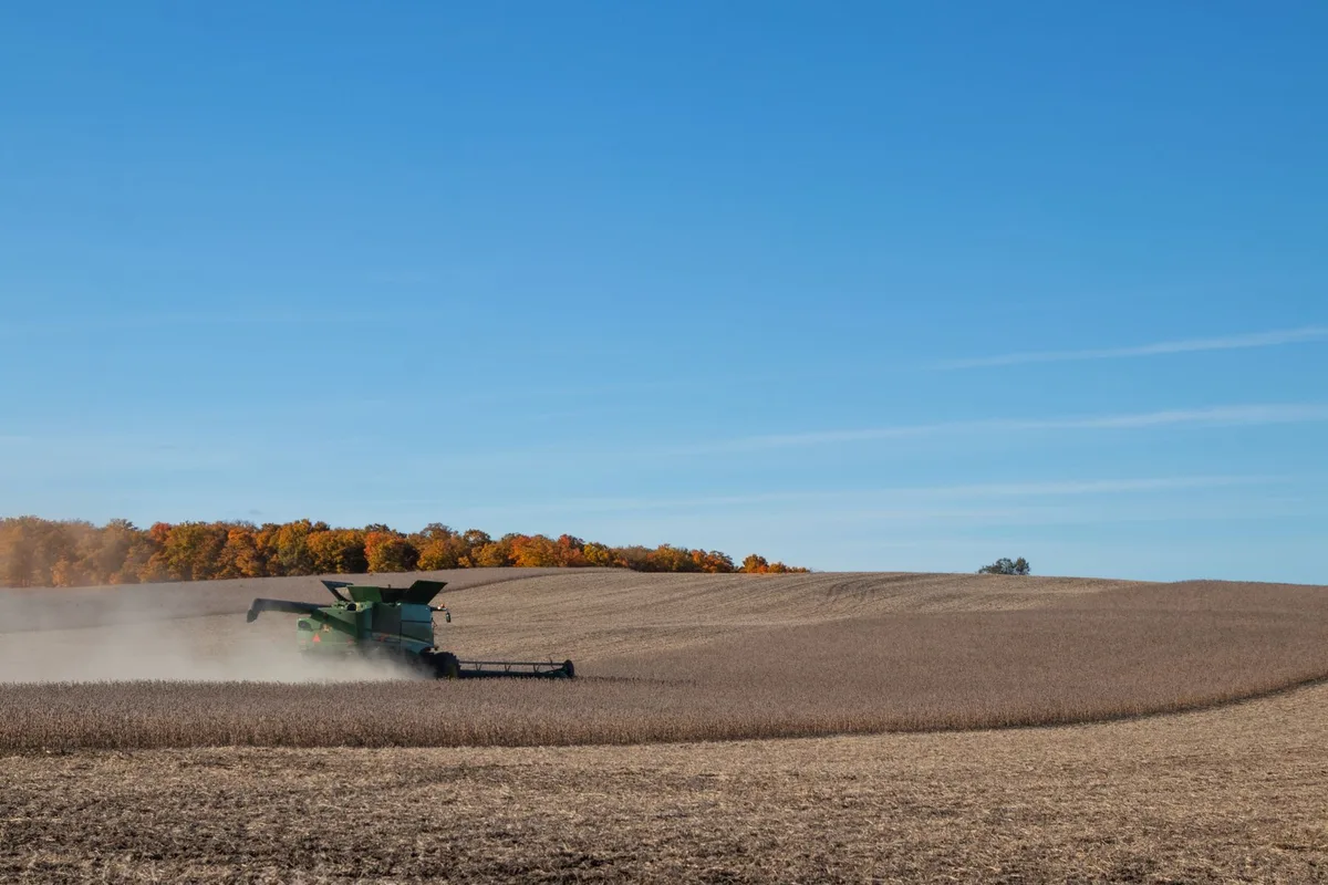 U.S. Soybean Export Sales Hit 2.84 Million Tons