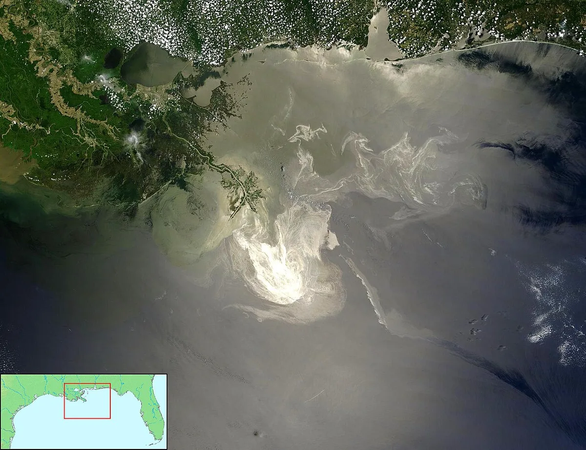 Gulf Deep-Sea Species Declined 60%-85% After Spill