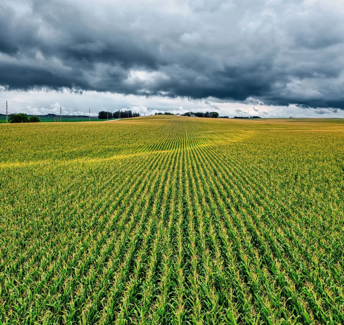 Minnesota to see its wettest Monday as Midwest storm arrives