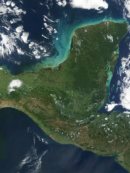 Greenpeace Reports Fecal Contamination at 17 Yucatán Water Sites