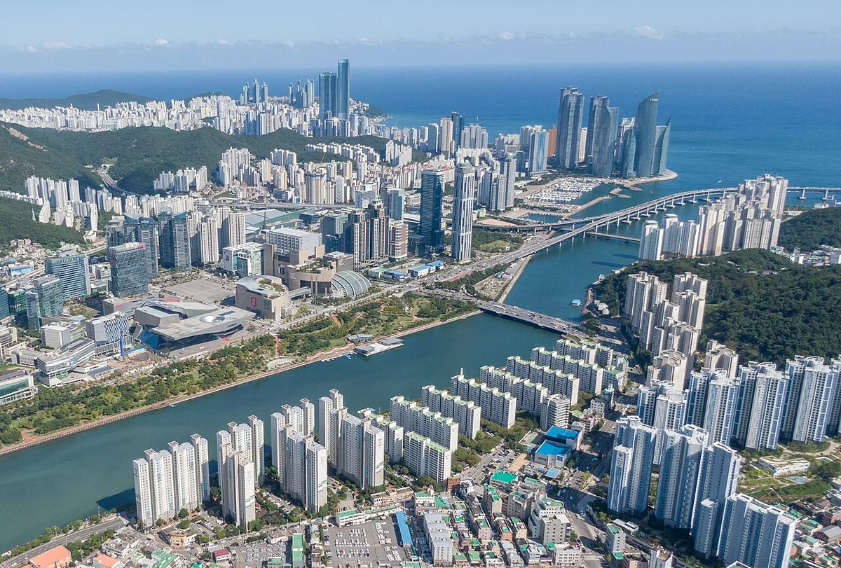 South Korean Officials Struggle to Free a Shark Trapped in Busan Canal