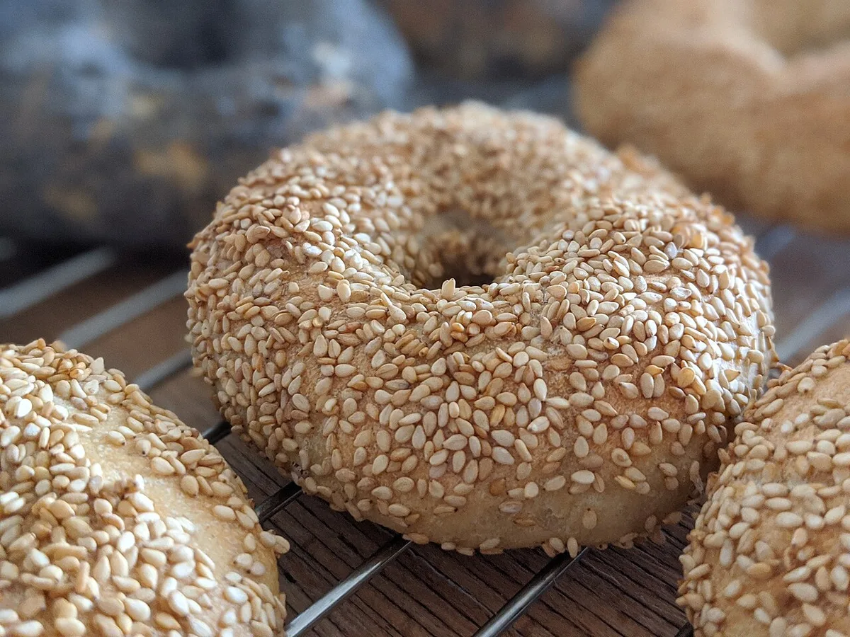 Bagel Shops Plan Openings Across U.S.