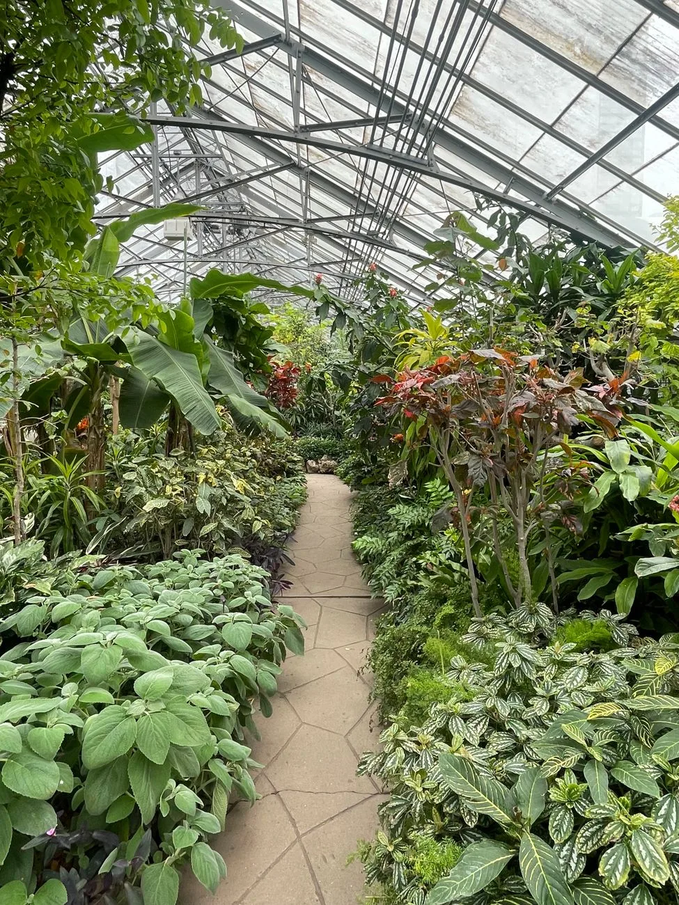 Gardens in Georgia, Illinois and Idaho Offer Year-Round Plant Displays
