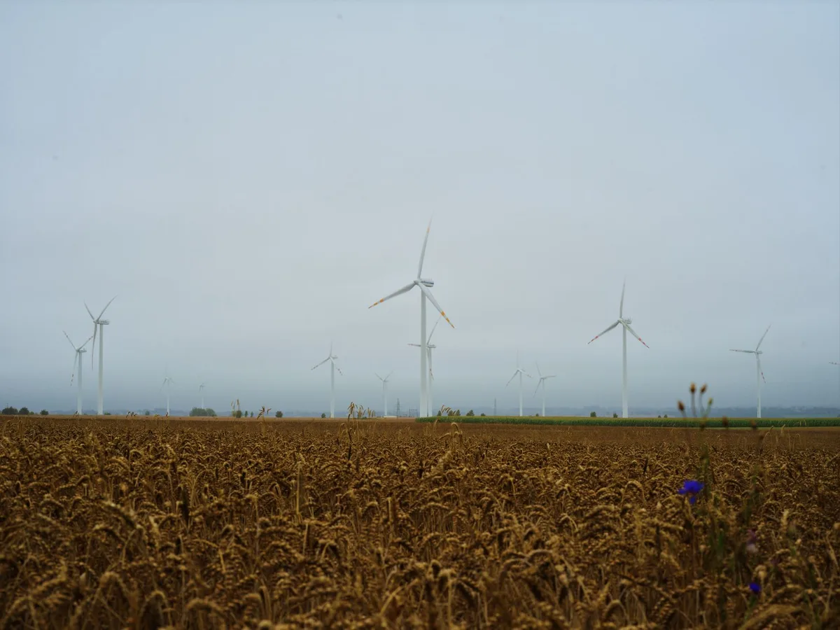 Mayo, Peoria Boards Recommend Wind Farm Denials