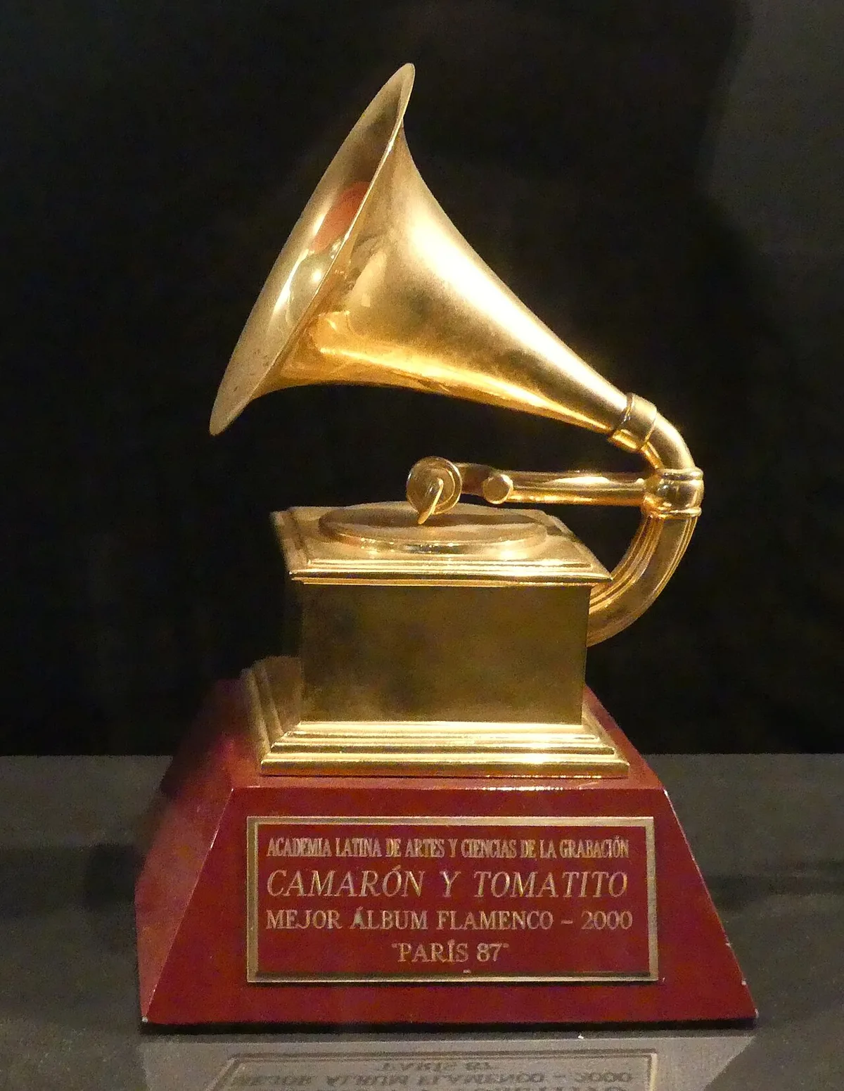 Latin Grammy Winner Detained by ICE in Miami