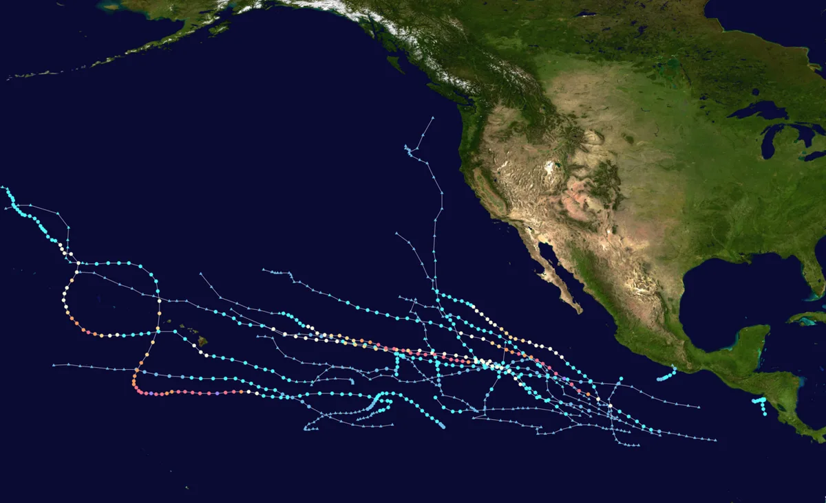 Polo Expected to Reach Category 5 Near Mexico