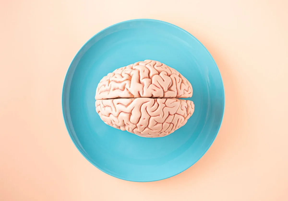 Studies Identify Brain Fog’s Diverse Biological Causes