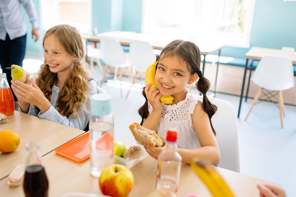 Utah Plate Targets $3.8 Million School Lunch Debt