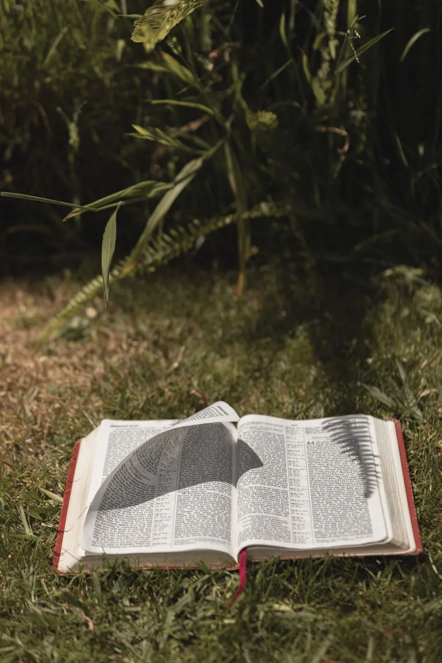 “The Lord has done great things for us, and we are filled with joy.” — Psalms 126:3, New International Version
Holy Bible, New International Version®, NIV® Copyright © 1973, 1978, 1984, 2011 by Bibli