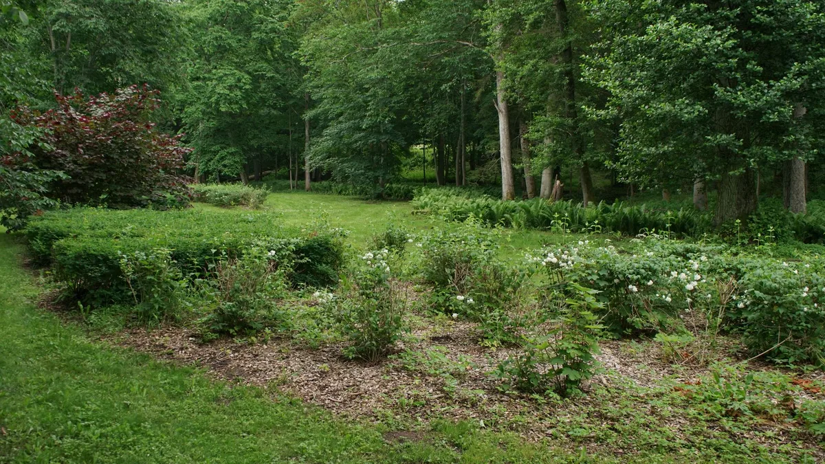 Conservation Efforts Counter Pressures Across American Landscapes